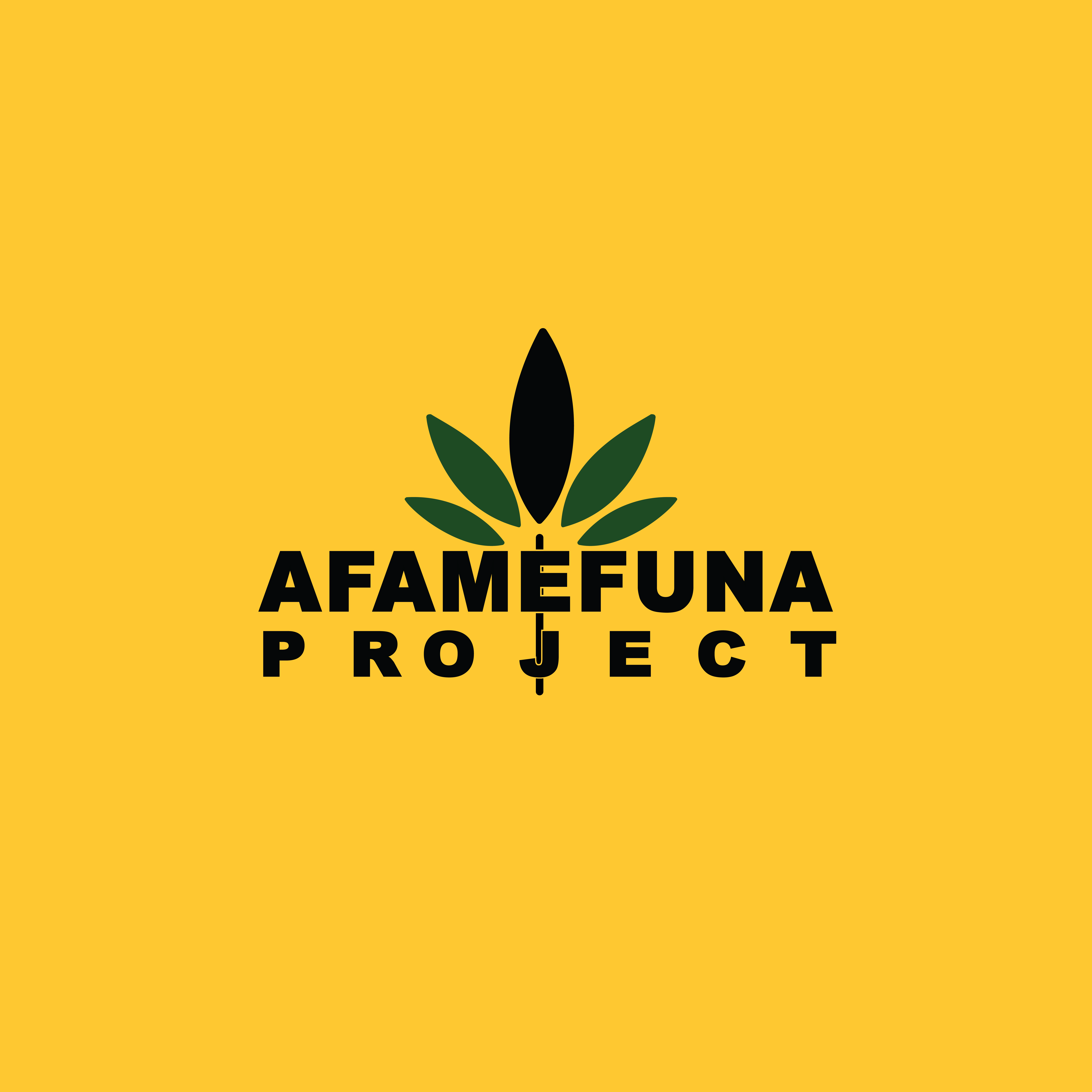 Afamefuna Project